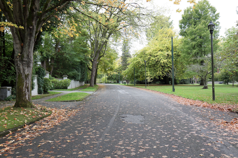 Illustration for article titled Pics from the Curbside: 2018-09-23 to Shaughnessy